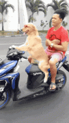 带个保镖 壮壮胆