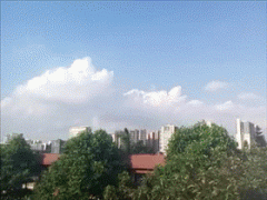 只见神龙眼前一现