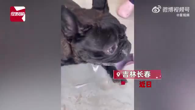 轻松一刻:姐姐结婚,给姐夫在这撂狠话合适吗? 轻松一刻:姐姐结婚,给姐夫在这撂狠话合适吗?