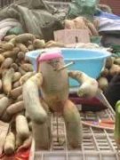 抽烟的蔬菜。。。 抽烟的蔬菜。。。