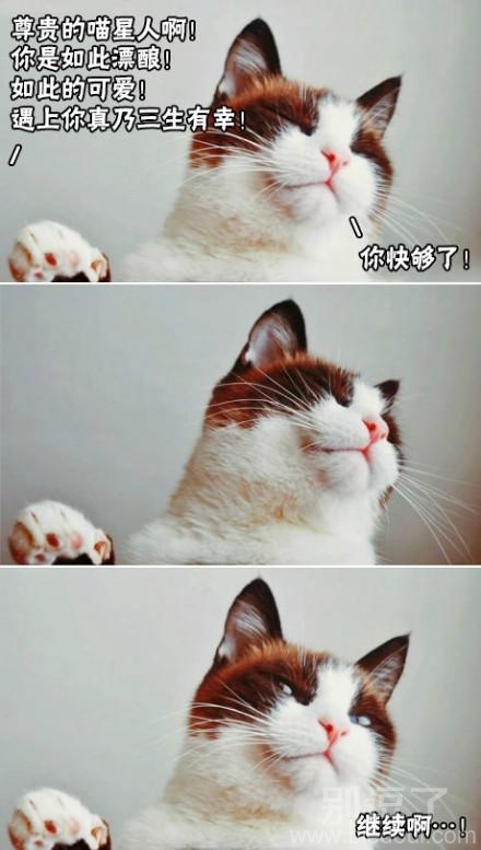 傲娇本性难改啊 傲娇本性难改啊