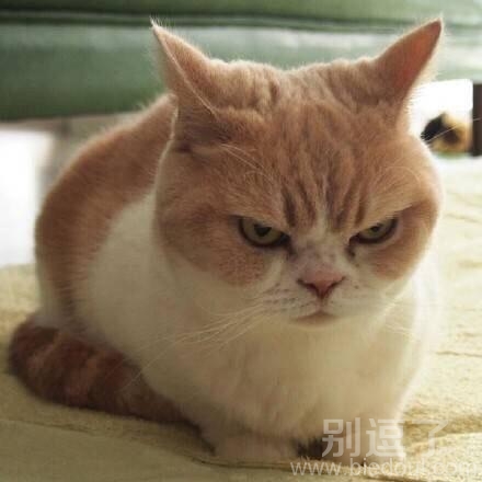 哇，跟谁这么大愁啊。。
