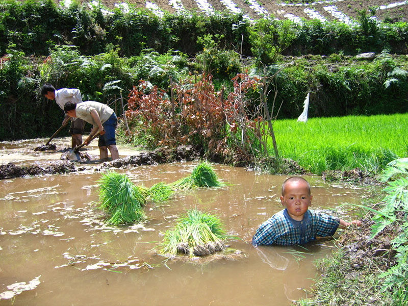做个合格的父母真不容易