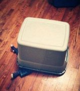 和宝宝一起捉迷藏