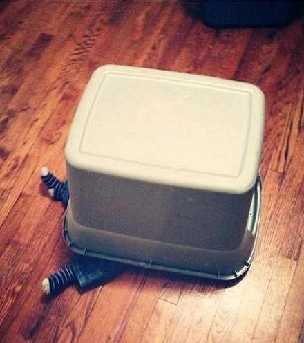 和宝宝一起捉迷藏