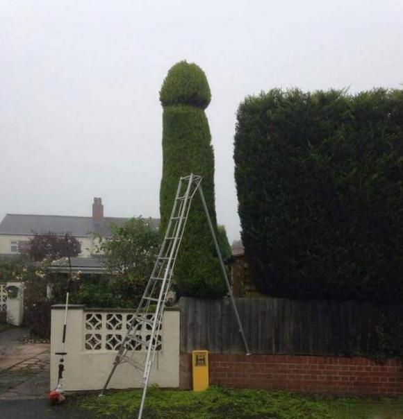 一柱擎天啊，看样子园丁欠薪问题这次该解决了