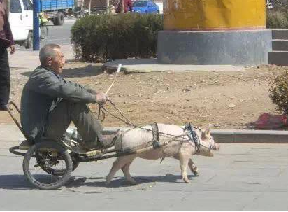 大爷的座驾好霸气！