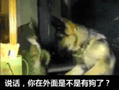 是不是在外面有狗了