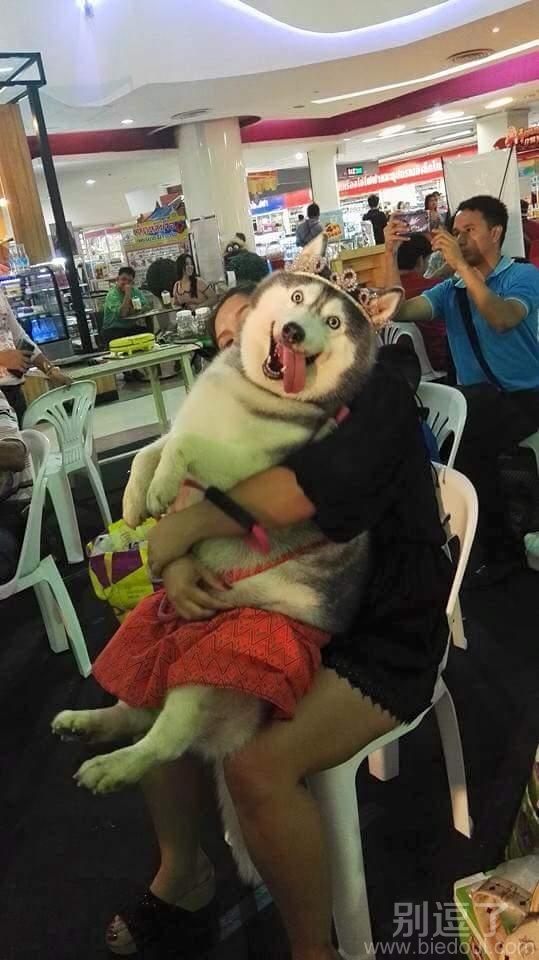 谁还不是公主咋的