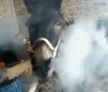 你的烟瘾好大啊！