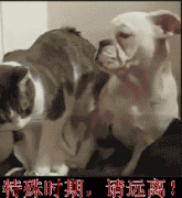 特殊时期离我远点