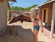 好大的一只蝙蝠呀 好大的一只蝙蝠呀