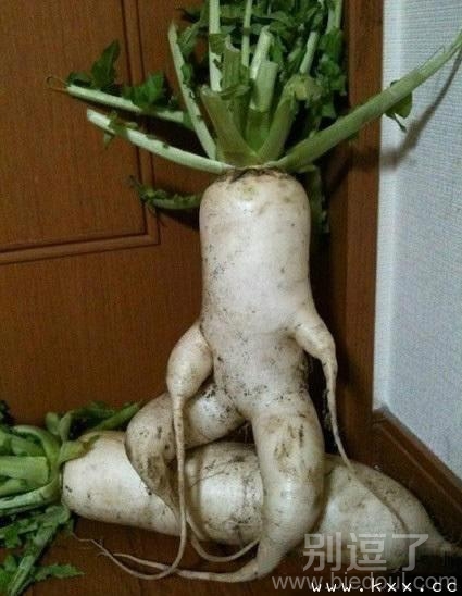 看看咱们舒服的啊。 看看咱们舒服的啊。