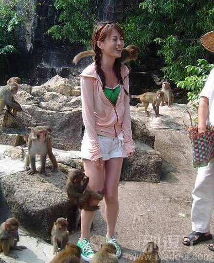 爱美女的猴子。。 爱美女的猴子。。