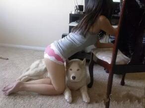 汪星人和美女 汪星人和美女