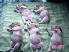 就属你最不听话了 就属你最不听话了