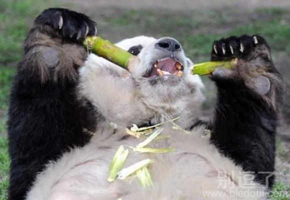 快看我的双节棍!! 快看我的双节棍!!