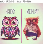 看来美颜很重要 看来美颜很重要