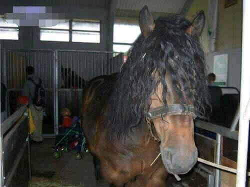 在哪烫的头发啊 在哪烫的头发啊