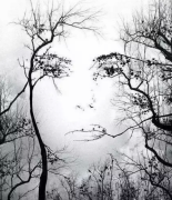 是我单身太久了吗 是我单身太久了吗