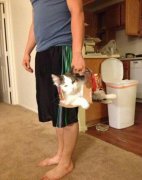 你这睡姿好漂亮