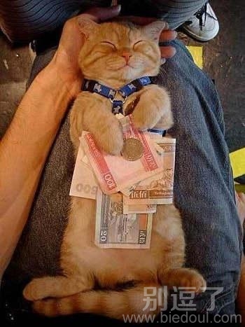 其实我也喜欢钱! 其实我也喜欢钱!