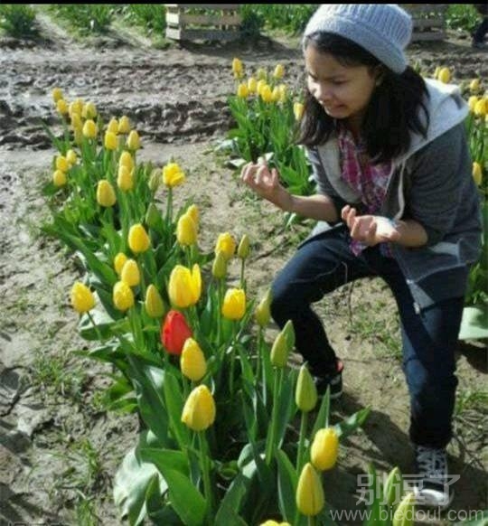 逼死处女座啊!! 逼死处女座啊!!