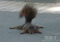 累趴下了,休息一下 累趴下了,休息一下