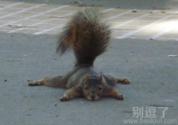 累趴下了,休息一下 累趴下了,休息一下