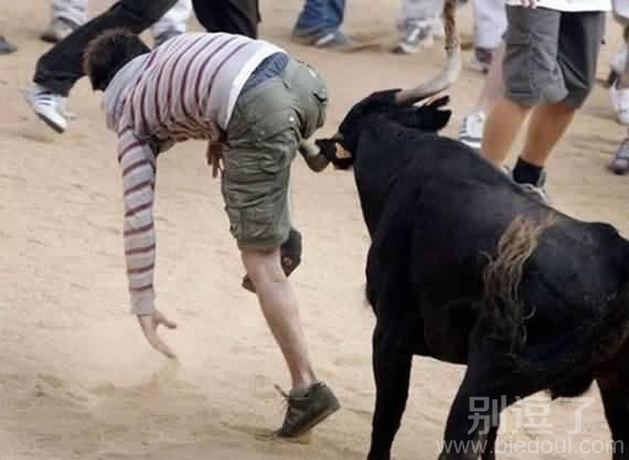 看的我菊花都疼了