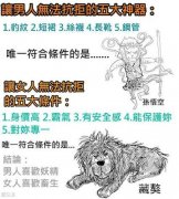 让女人无法抗拒的五大条件