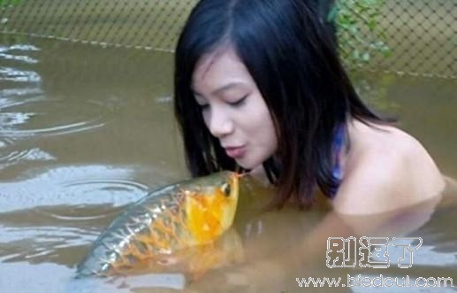 这可是很值钱的金龙鱼 这可是很值钱的金龙鱼