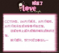 你TM见过春运么 你TM见过春运么