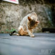 犒劳我的左臂一下。