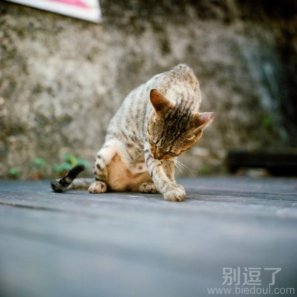 犒劳我的左臂一下。