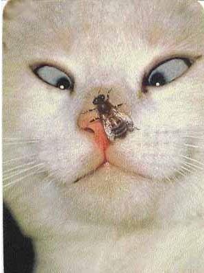 终极训练法~ 终极训练法~