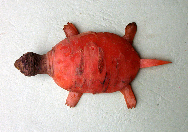 DIY创意水果蔬菜小动物