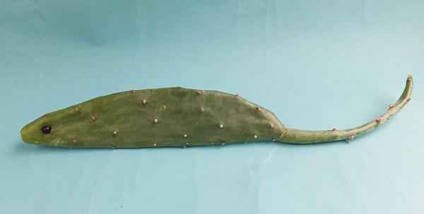 DIY创意水果蔬菜小动物