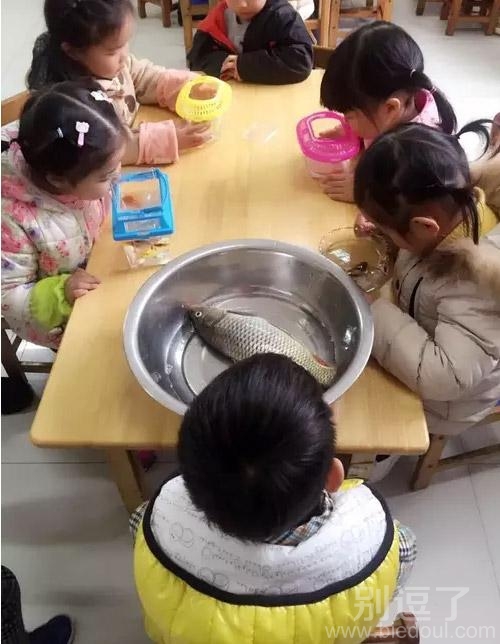 这熊孩子太实诚了 这熊孩子太实诚了