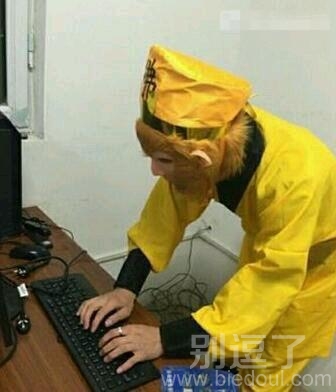 师傅猴哥正在给母猴聊天,赶快来制止呀! 师傅猴哥正在给母猴聊天,赶快来制止呀!