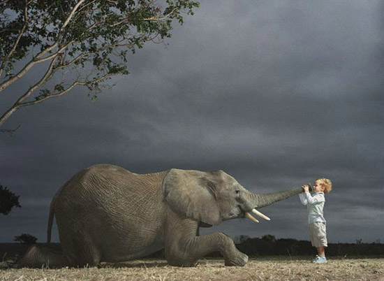 看小朋友们如何玩转动物趣图