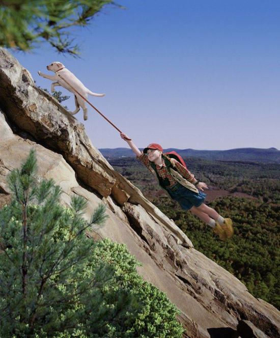 看小朋友们如何玩转动物趣图