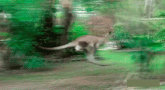 你超速了你造吗？