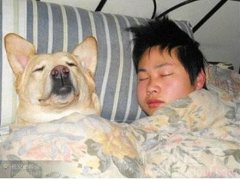 我和汪星人睡觉。。 我和汪星人睡觉。。