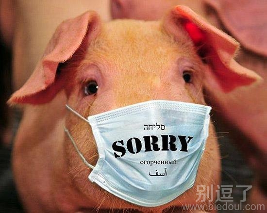 戴口罩的小猪。。