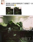 留着青菜过年!!! 留着青菜过年!!!