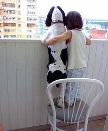 窗外发生了什么～默契