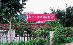 这样的标语 真不知让重庆人情何以堪