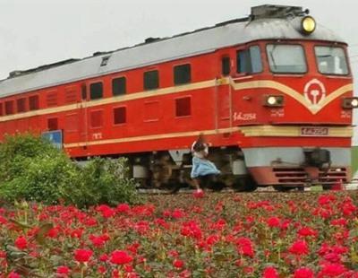 少女花海自拍撞亡 竟然为了这个? 少女花海自拍撞亡 竟然为了这个?