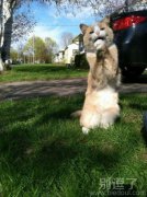 求求你饶了我吧，就这一次